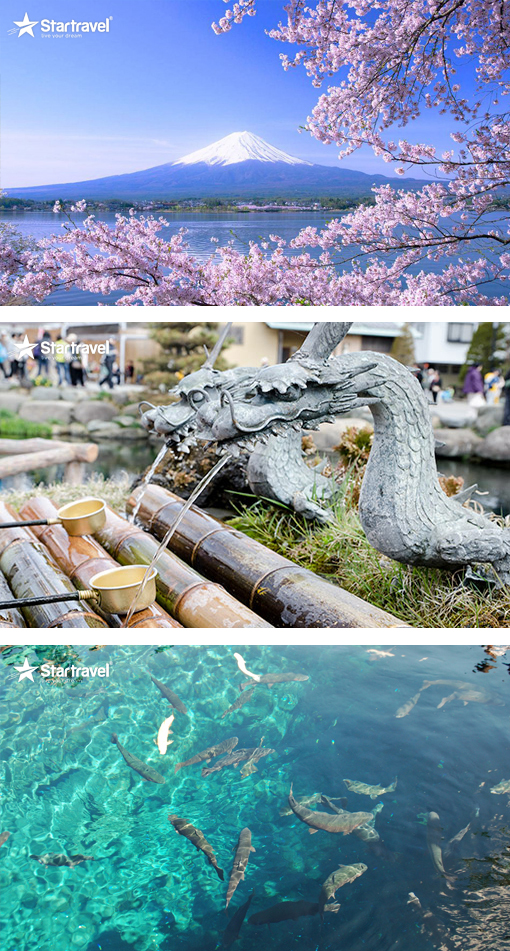 Ngày 03: FUJI – KAWAGUCHIKO – TOYOTA CITY  (Ăn sáng, trưa, tối)